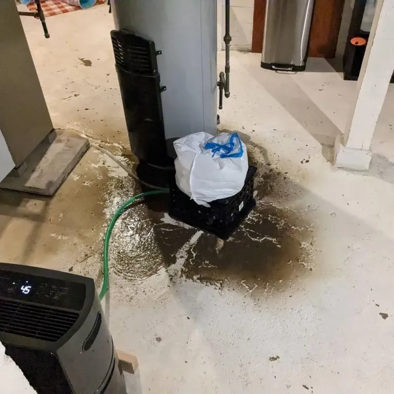 Sewage Backup Cleanup Service in Enhaut, PA
